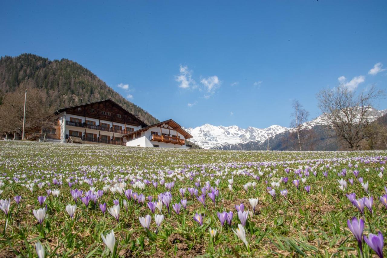Hotel Ultnerhof Santa Gertrude Esterno foto